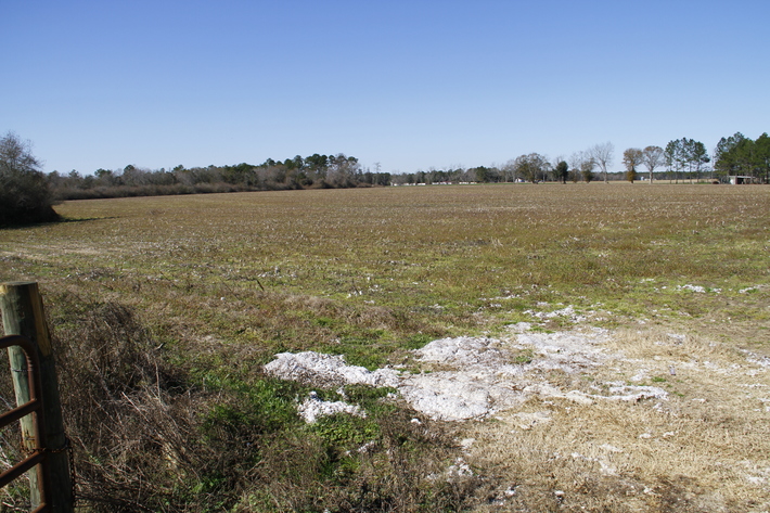 Image for Selling Absolute! 57 Acre Farm Located in Colquitt County