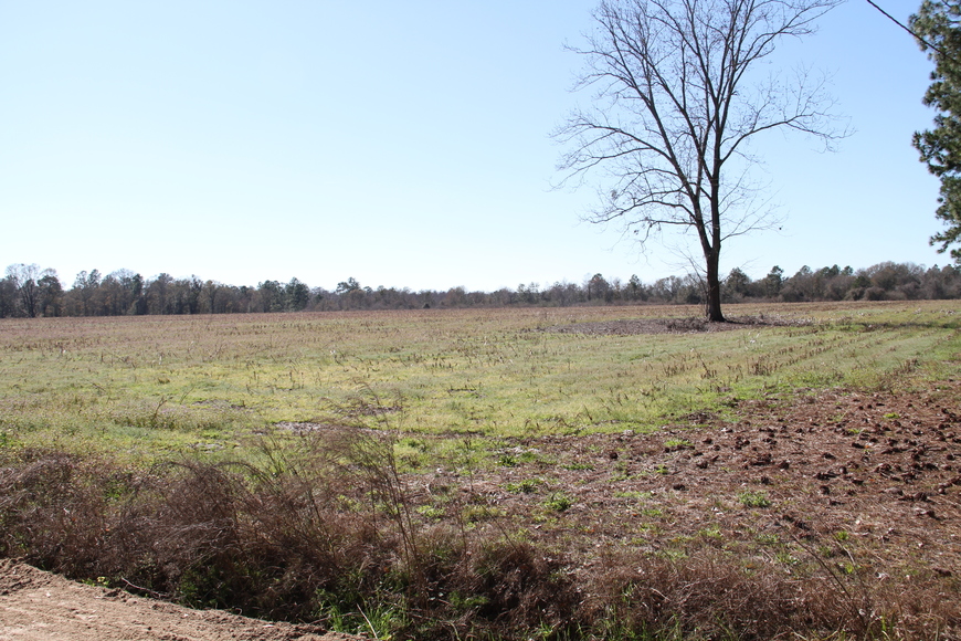 Image for Selling Absolute! 57 Acre Farm Located in Colquitt County