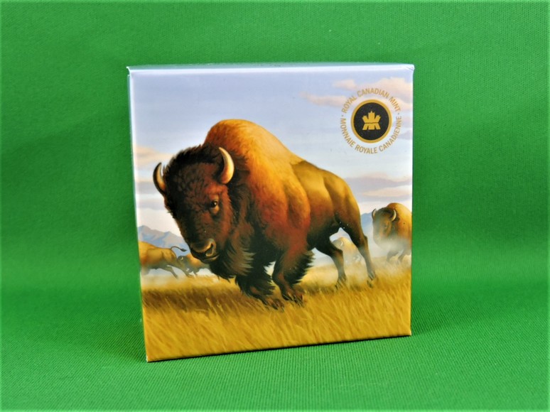 Master of the Prairie Wind The American Bison
