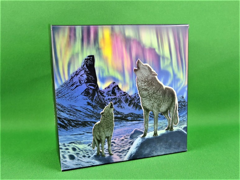Northern Lights in the Moonlight