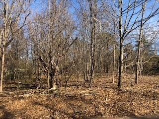 Image for NCDOT Residue Real Estate