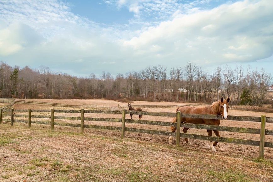 Image for 4 BR/4 BA Home w/Barn & Fenced Pasture on 33 +/- in Madison County, VA