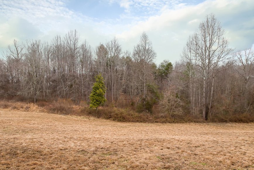Image for 4 BR/4 BA Home w/Barn & Fenced Pasture on 33 +/- in Madison County, VA