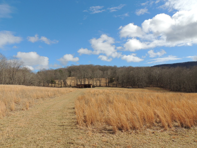 Image for Stunning 35 Acres on Sinking Creek