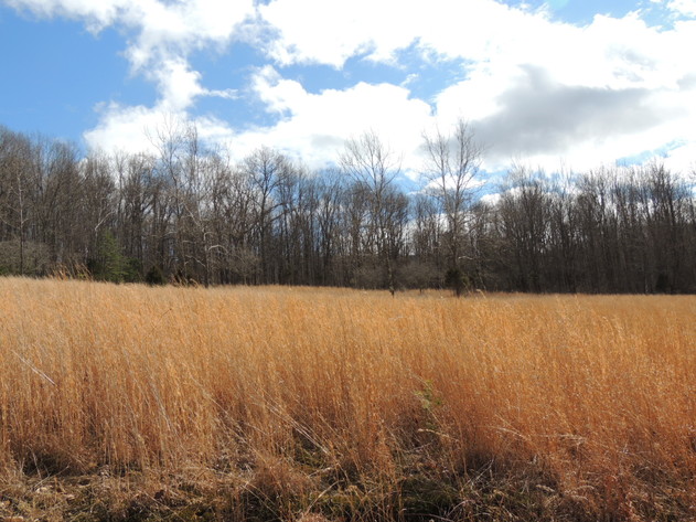 Image for Stunning 35 Acres on Sinking Creek