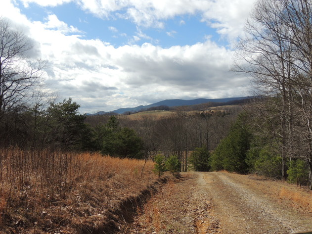 Image for Stunning 35 Acres on Sinking Creek
