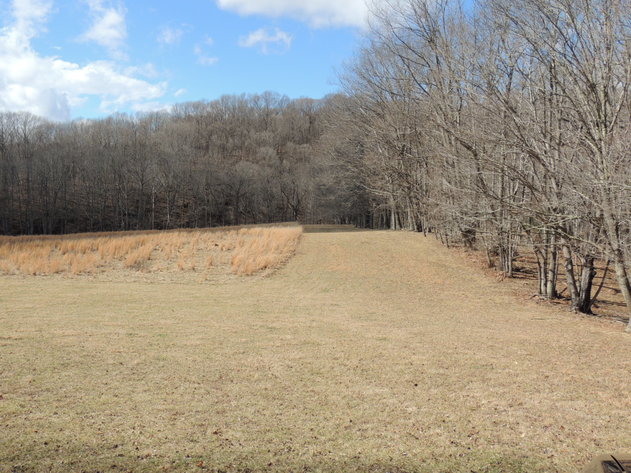 Image for Stunning 35 Acres on Sinking Creek