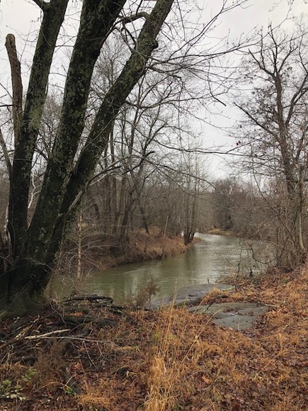 Image for 30 +/- Acres w/River Frontage & Creek Frontage in Madison, VA--Sells to the Highest Bidder!!