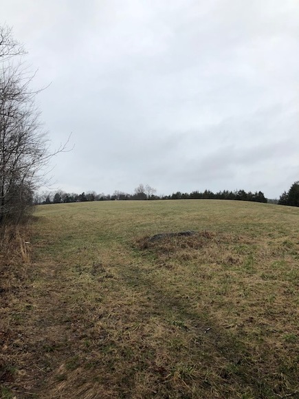 Image for 30 +/- Acres w/River Frontage & Creek Frontage in Madison, VA--Sells to the Highest Bidder!!