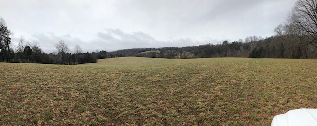 Image for 30 +/- Acres w/River Frontage & Creek Frontage in Madison, VA--Sells to the Highest Bidder!!