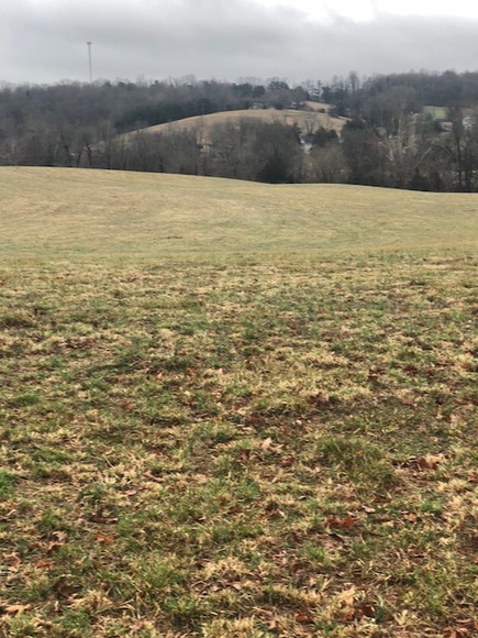 Image for 30 +/- Acres w/River Frontage & Creek Frontage in Madison, VA--Sells to the Highest Bidder!!