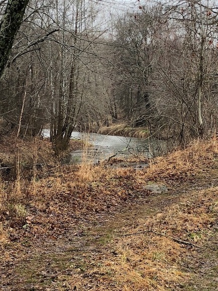 Image for 30 +/- Acres w/River Frontage & Creek Frontage in Madison, VA--Sells to the Highest Bidder!!