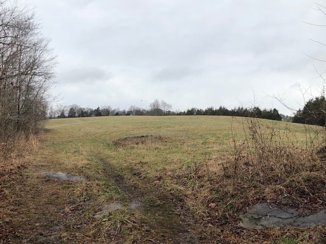 Image for 30 +/- Acres w/River Frontage & Creek Frontage in Madison, VA--Sells to the Highest Bidder!!