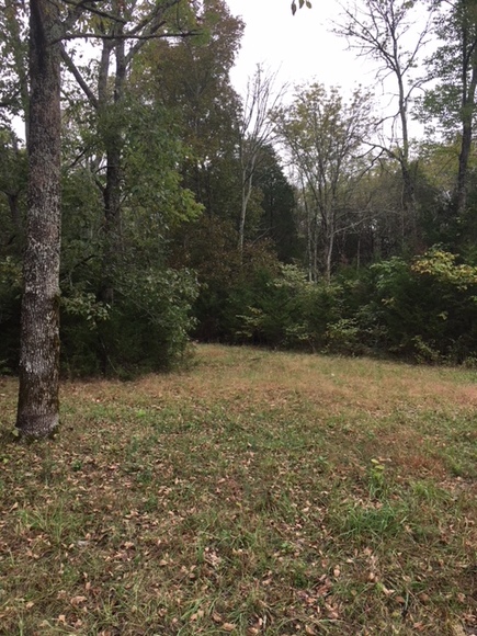 Image for 5909 Stewarts Ferry Pike, Mt. Juliet, TN  37122