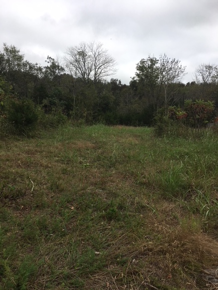 Image for 5909 Stewarts Ferry Pike, Mt. Juliet, TN  37122