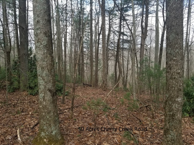 Image for Commissioner's Sale of Real Estate - Patrick County, VA