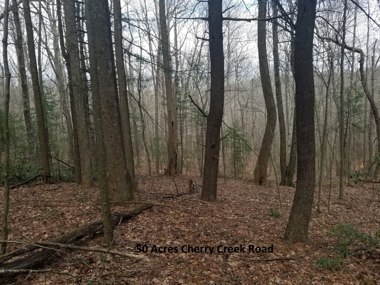 Image for Commissioner's Sale of Real Estate - Patrick County, VA