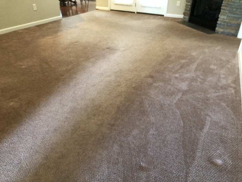 Image for Beautiful Downtown Condominium