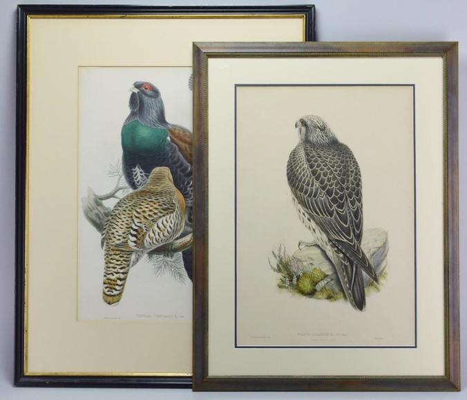 Image for Alderfer Simulcast - Collector's Auction: 3-22-18