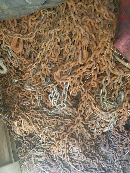 Image for Absolute Auction!