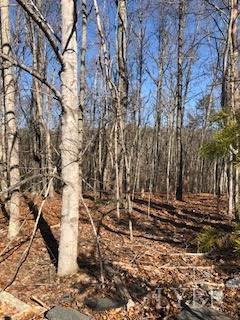 Image for Ridge Rd,  Evington, VA  24550