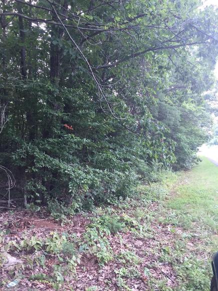 Image for Rockford School Rd,  Gretna, VA  24557