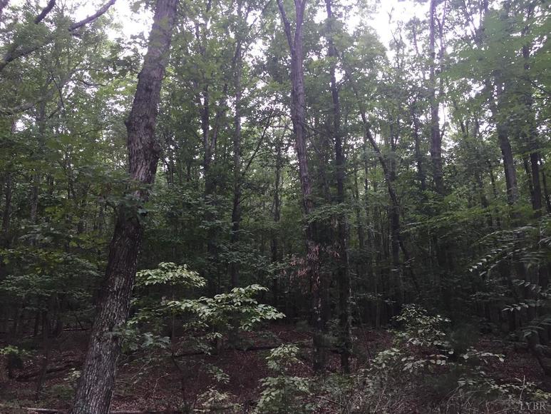 Image for Rockford School Rd,  Gretna, VA  24557