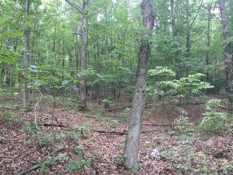 Image for Rockford School Rd,  Gretna, VA  24557