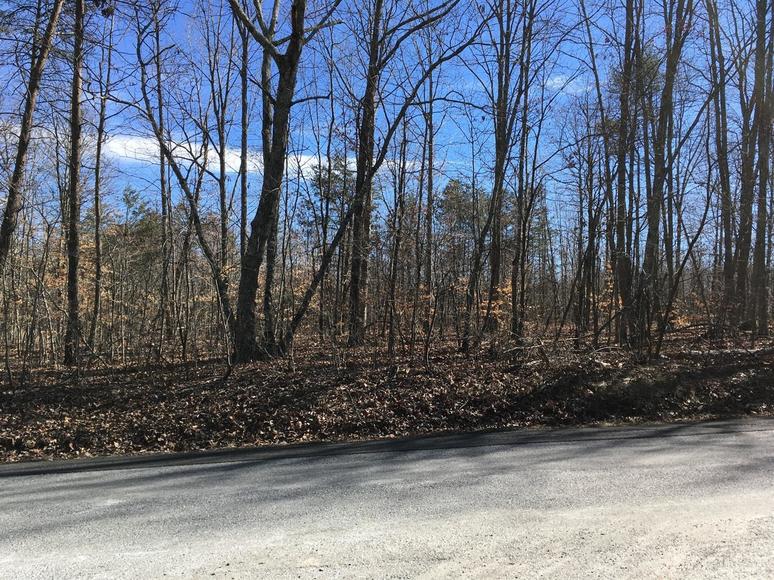 Image for East Ferry Rd,  Gladys, VA  24554