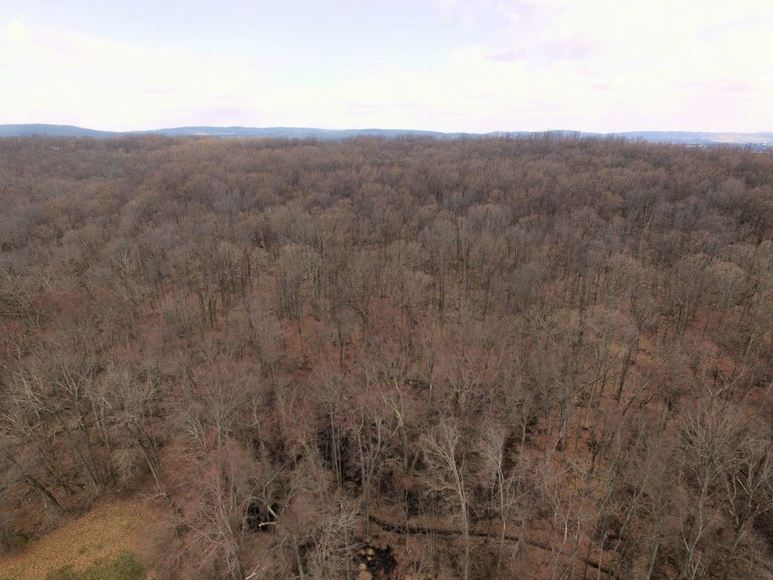 Image for Real Estate Auction - Quakertown, PA: 5-24-18