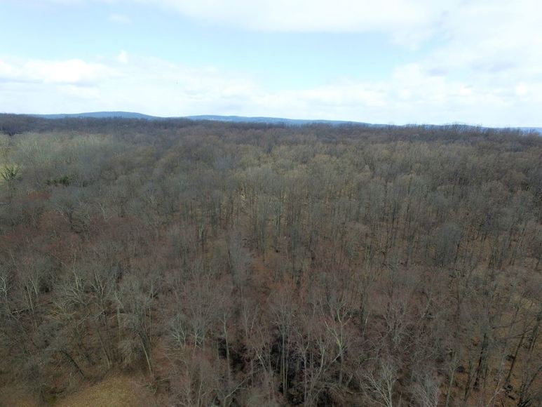 Image for Real Estate Auction - Quakertown, PA: 5-24-18