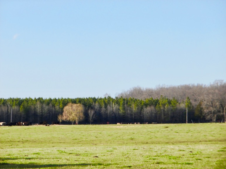 Image for 3 BR/1 BA Stone Home w/Outbuildings & Fencing on 2 Acres in Culpeper County, VA