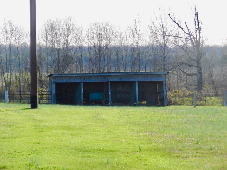 Image for 3 BR/1 BA Stone Home w/Outbuildings & Fencing on 2 Acres in Culpeper County, VA