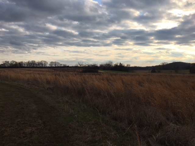 Image for 2235 Greenwood Road, College Grove, TN  37046