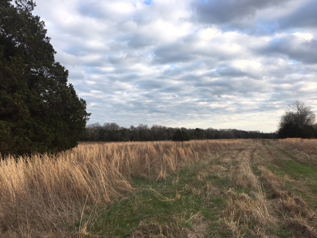 Image for 2235 Greenwood Road, College Grove, TN  37046