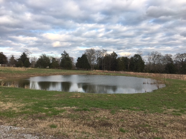 Image for 2235 Greenwood Road, College Grove, TN  37046