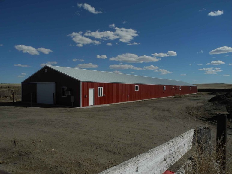 Eastern Colorado Farm & Ranch Auction2,595 +/ Acres in Kit Carson County