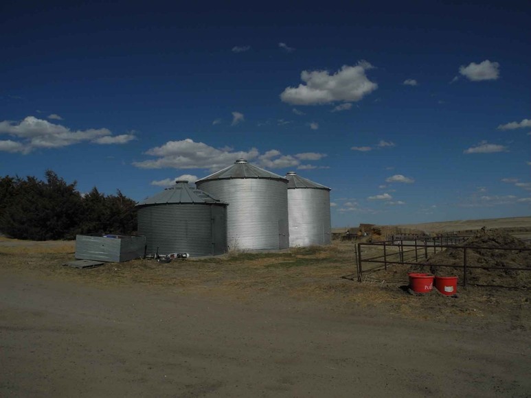 Image for Eastern Colorado Farm & Ranch Auction--2,595 +/- Acres in Kit Carson County