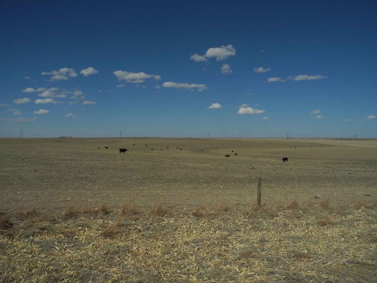 Image for Eastern Colorado Farm & Ranch Auction--2,595 +/- Acres in Kit Carson County