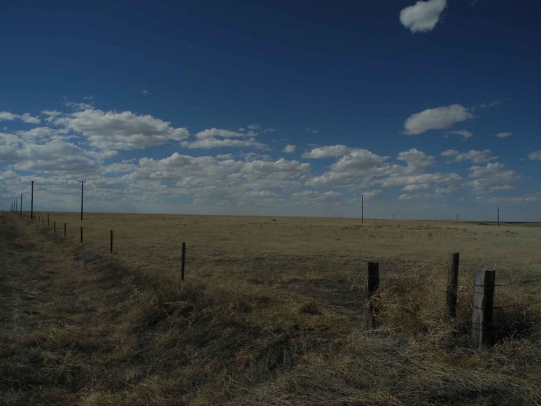 Image for Eastern Colorado Farm & Ranch Auction--2,595 +/- Acres in Kit Carson County
