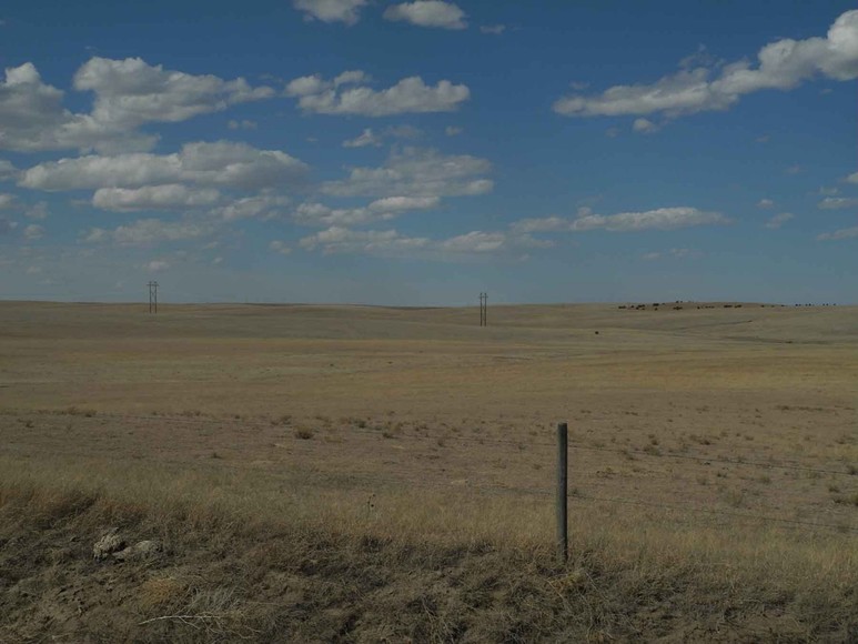 Image for Eastern Colorado Farm & Ranch Auction--2,595 +/- Acres in Kit Carson County