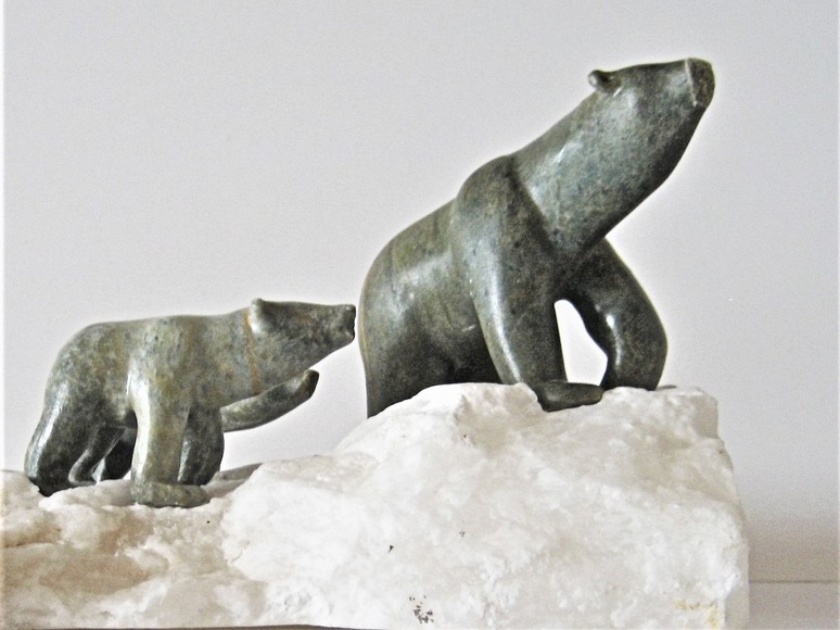 Polar Bear of the Canadian North
