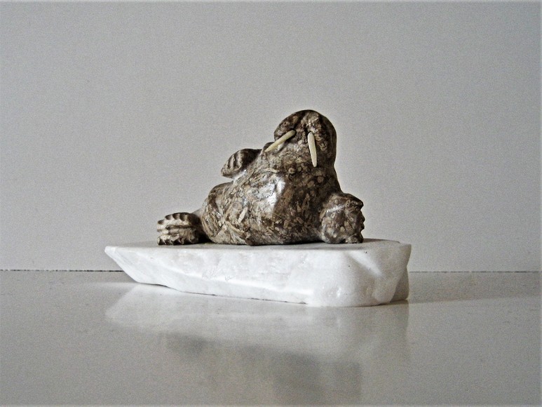 The Walrus - Wrinkled Skin & Ivory Tusks