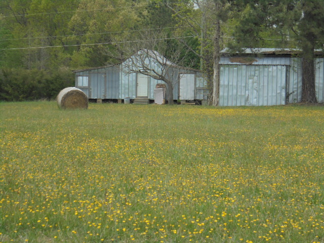 Image for CLOSED-Real Estate (7.27 AC) & Estate Personal Property Auction