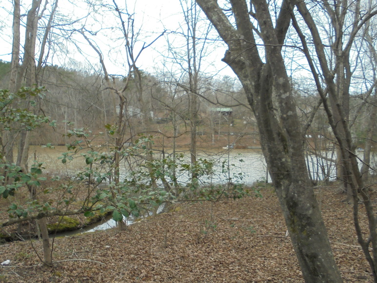 Image for REAL ESTATE AUCTION (50.67 AC) VACANT LAND~BADIN LAKE