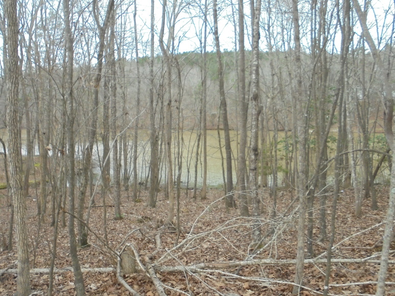 Image for REAL ESTATE AUCTION (50.67 AC) VACANT LAND~BADIN LAKE