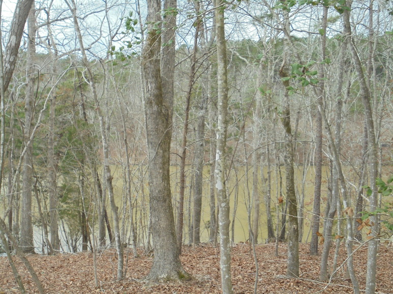 Image for REAL ESTATE AUCTION (50.67 AC) VACANT LAND~BADIN LAKE