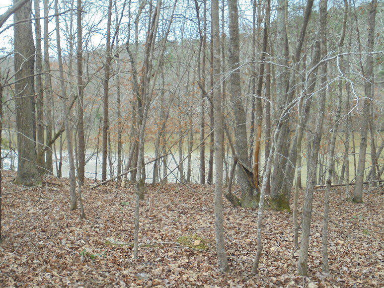 Image for REAL ESTATE AUCTION (50.67 AC) VACANT LAND~BADIN LAKE