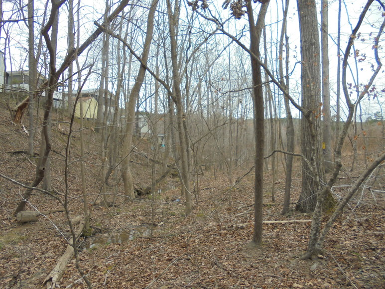 Image for REAL ESTATE AUCTION (50.67 AC) VACANT LAND~BADIN LAKE