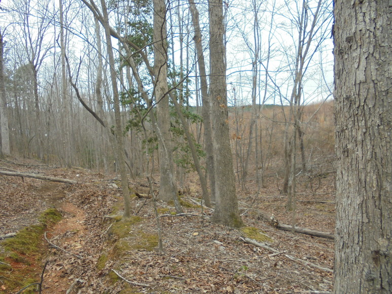 Image for REAL ESTATE AUCTION (50.67 AC) VACANT LAND~BADIN LAKE